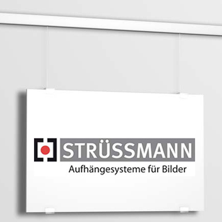 Plattenhalter Fur Abhangeseile Bilderschienen Struessmann